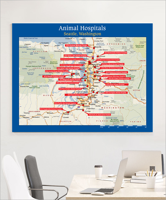 City Animal Hospital Location Wall Map